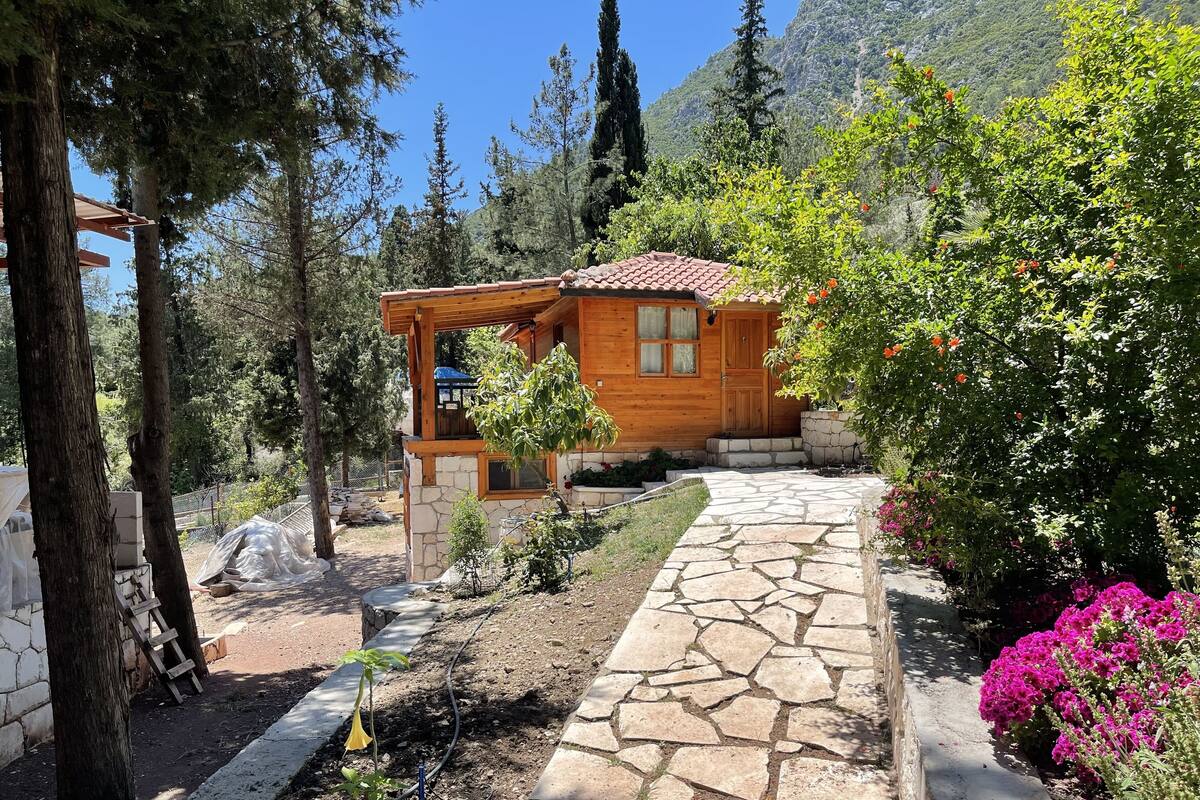 A wooden cabin with a stone pathway leading to the entrance, surrounded by trees and a mountainous backdrop.