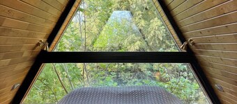 Trinitys Forest Bungalows