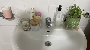 A bathroom sink with toiletries and a potted plant. - Studio in the center of Granada (Granada)