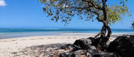 Plage à proximité, chaises longues