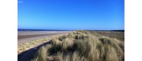 Playa en los alrededores y camastros