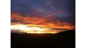 Imagen sin descripción, 3 de 9, botón