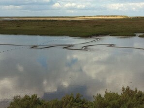 Unclassified image, 4 of 9, button - Award-winning, stylish and simple, in a countryside setting near the coast (Sharrington)