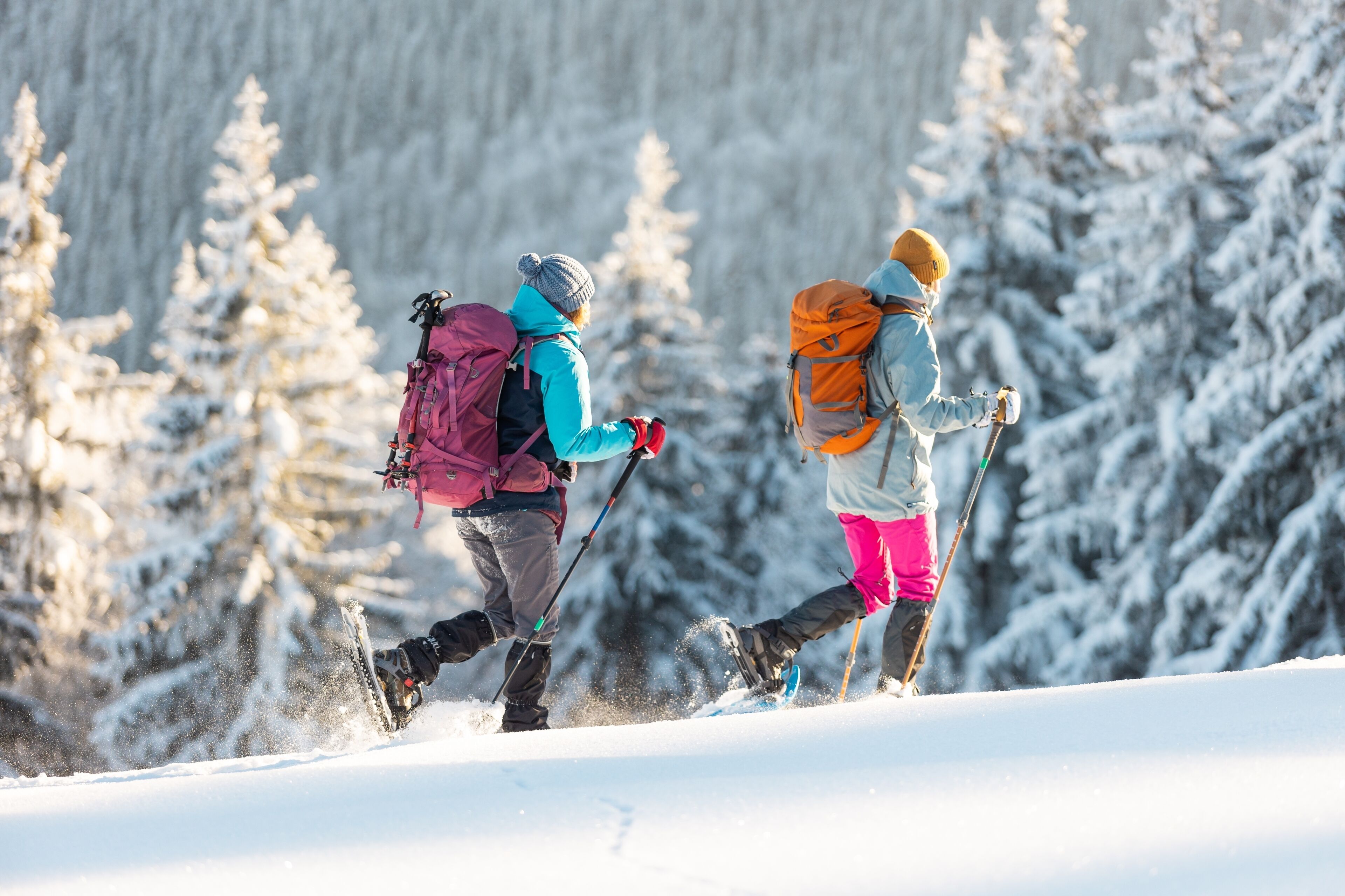 Two people skiing on a snowy slope with trees in the background.