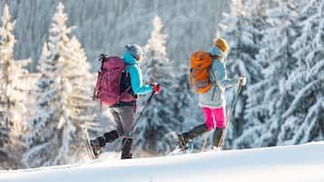 Two people skiing on a snowy slope with trees in the background.