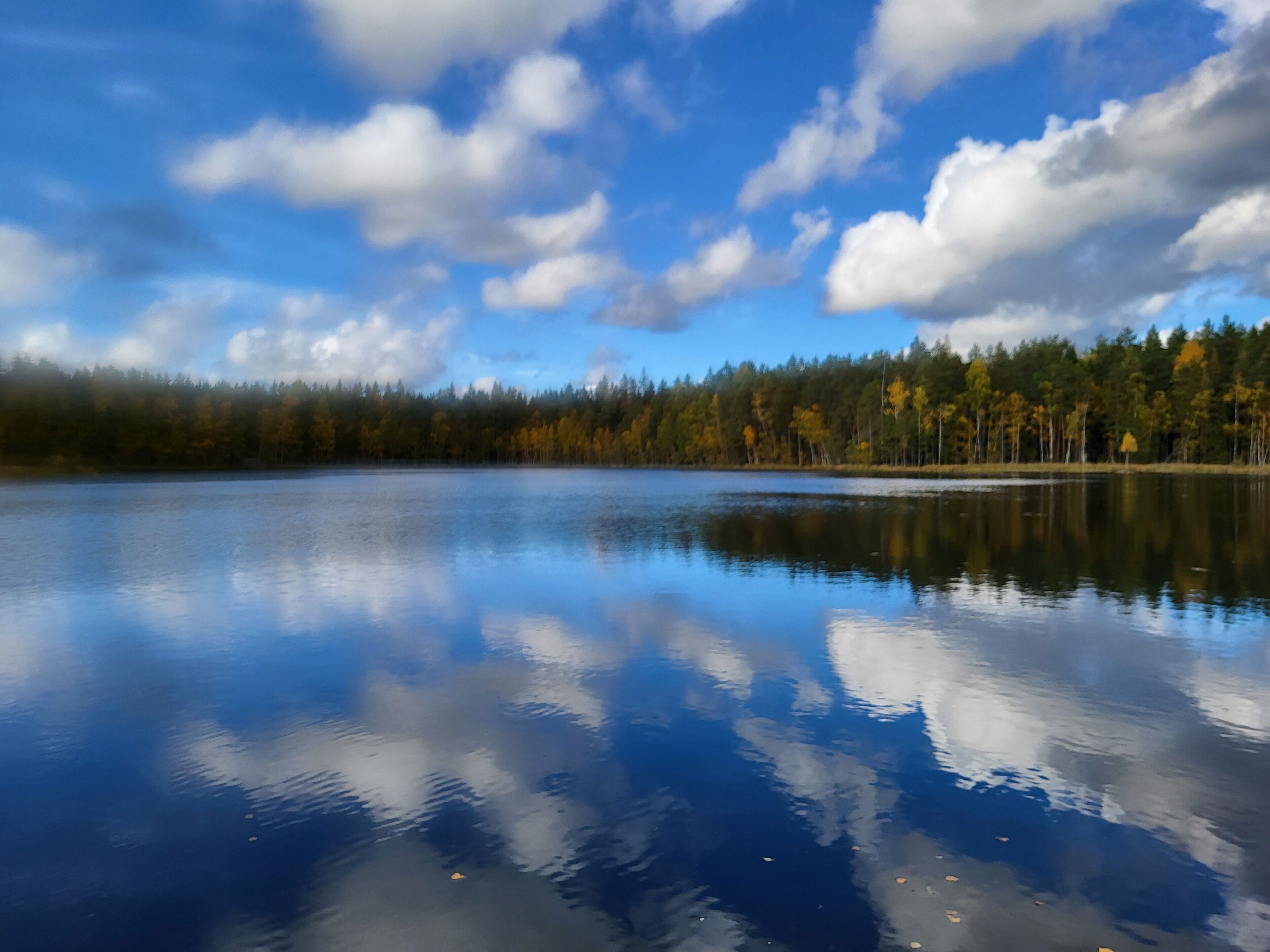 Un lac paisible où se reflètent les arbres et le ciel.