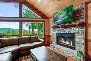 TV, fireplace, video games