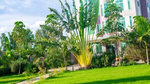 Vista para o jardim