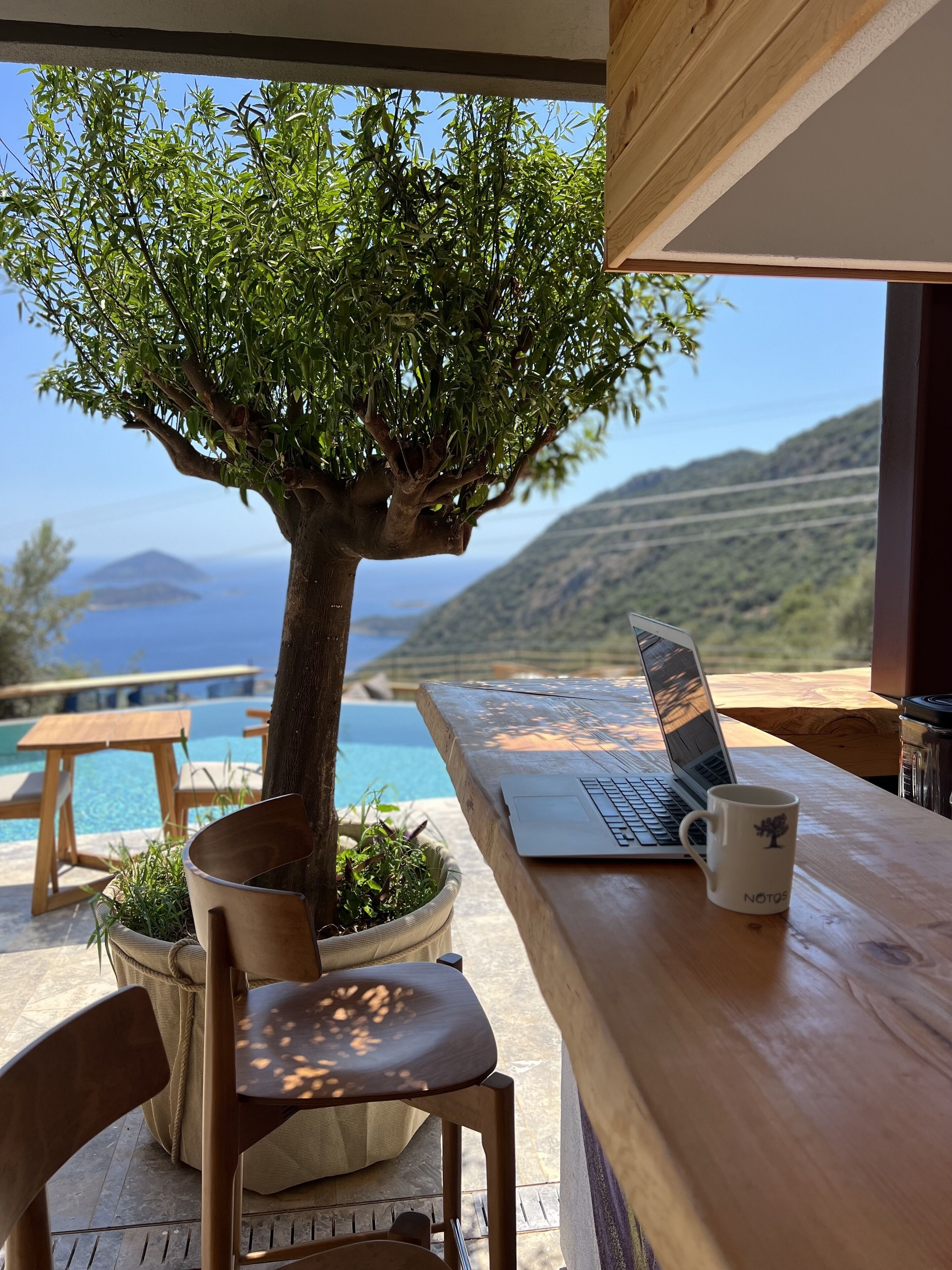 A wooden table with a laptop, a mug, and a potted tree.