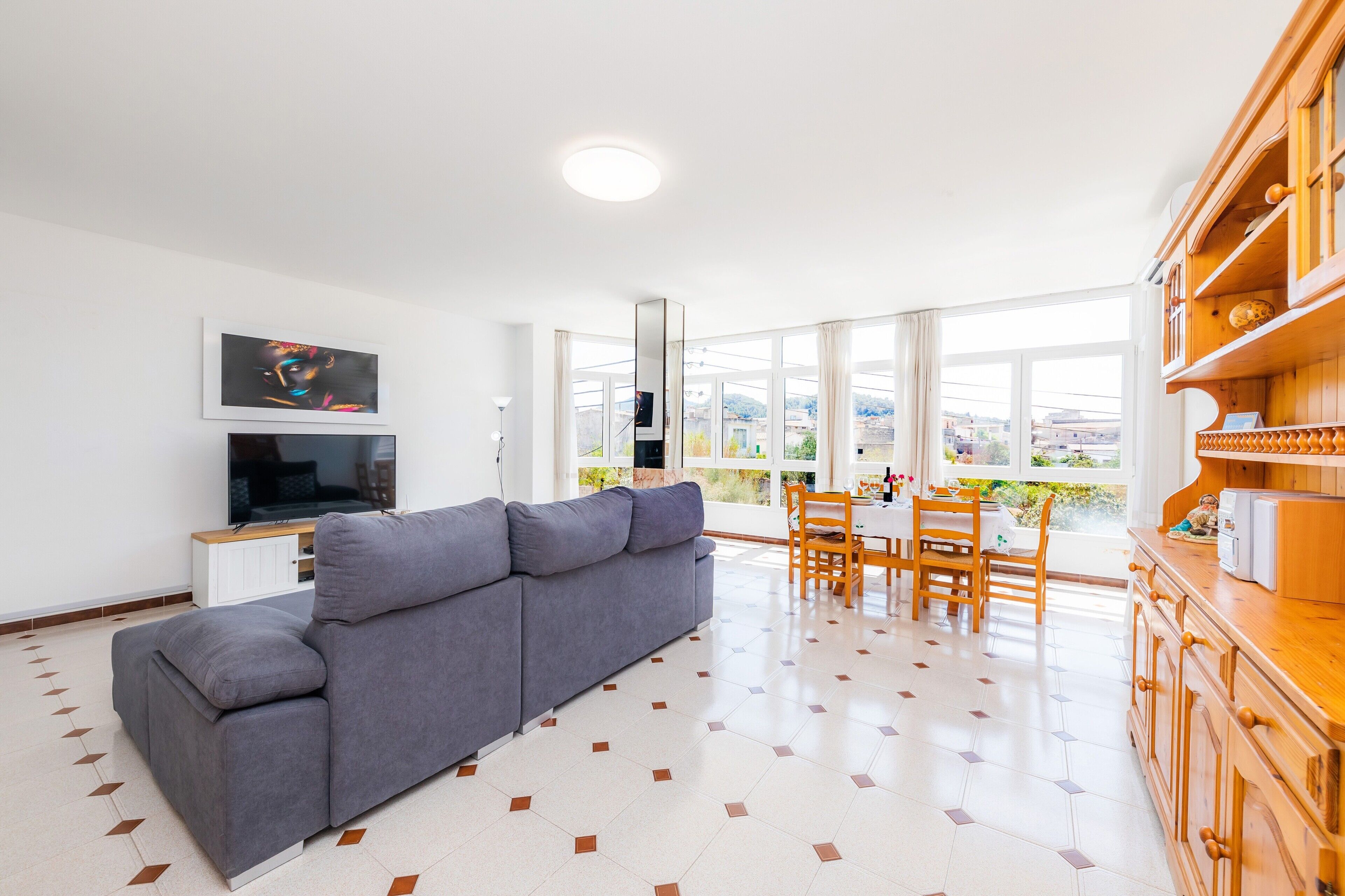 电视、DVD 播放器