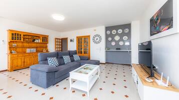 電視、DVD 播放機