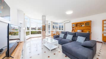 電視、DVD 播放機