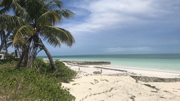 A beach with white sand, palm trees, and a clear blue sky. - Starboard House:  Lots of space in Canalfront Home close to beach (Treasure Cay)