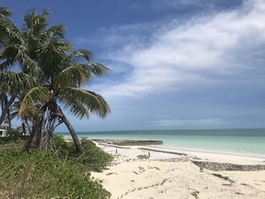 Ein Strand mit weißem Sand, Palmen und wolkenlosem, blauem Himmel.