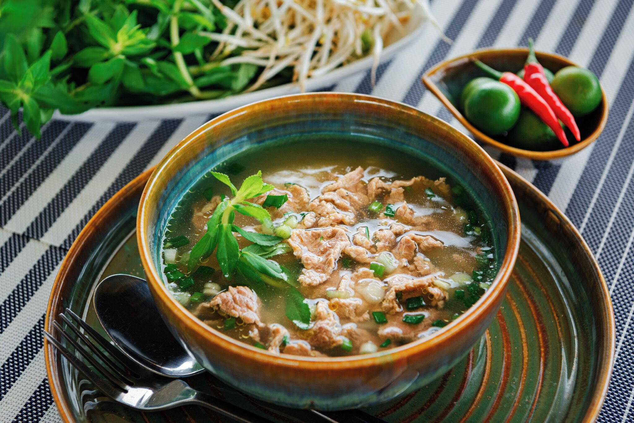 Un tazón de sopa con carne y verduras, acompañado de un tazón de brotes de soja y algunos chiles.