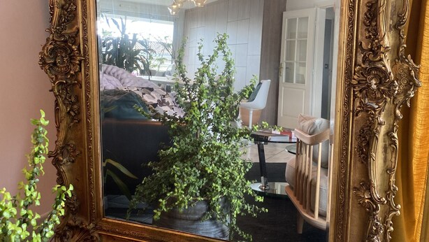 Un espejo con un marco dorado ornamentado que refleja una habitación con una lámpara moderna, una planta y una silla.