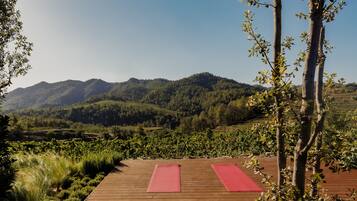 Une terrasse en bois avec des tapis rouges, entourée de verdure et dominant un paysage montagneux.