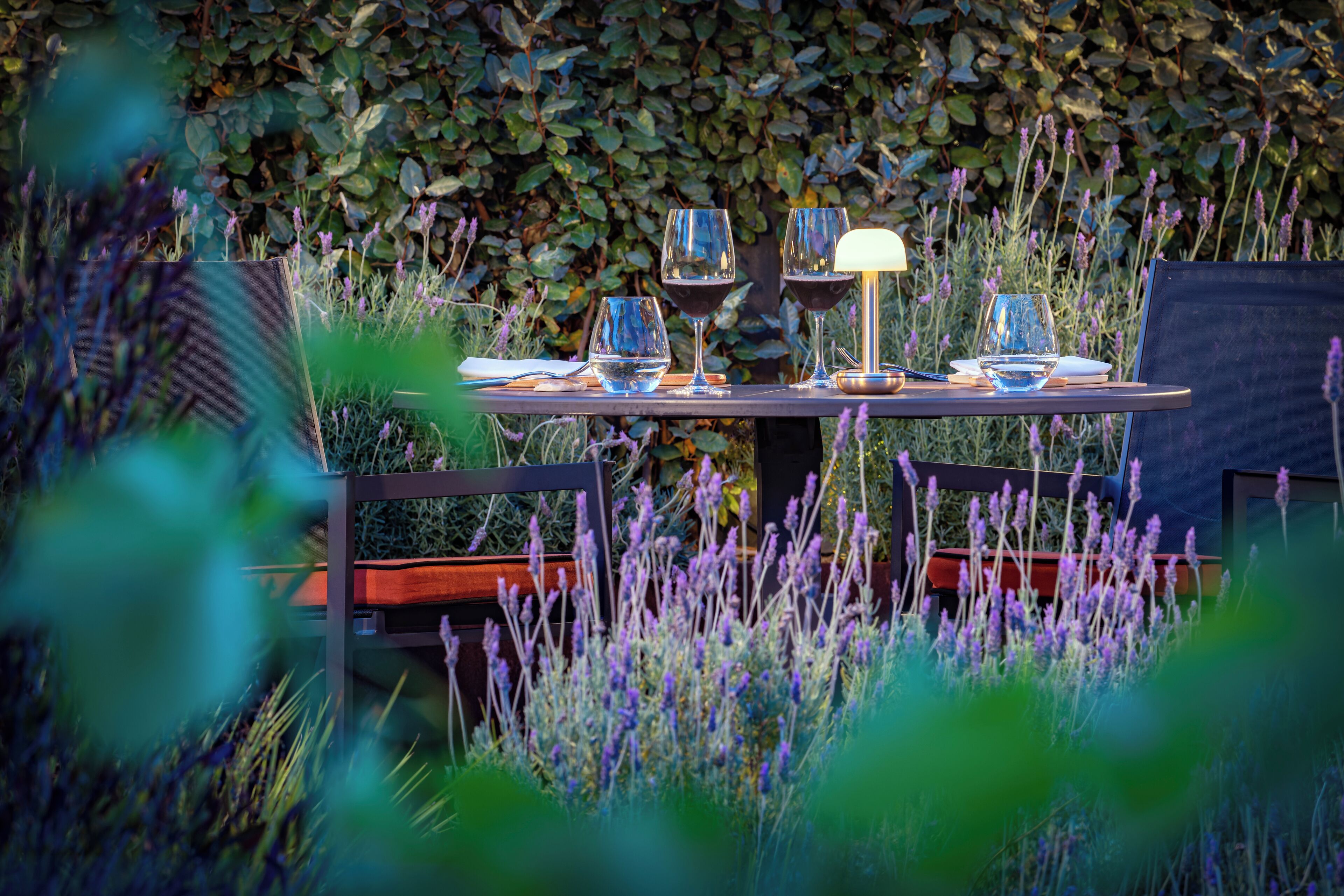 Un espace de restauration en plein air avec une table dressée pour quatre personnes, entouré d’une végétation luxuriante et de plantes de lavande.