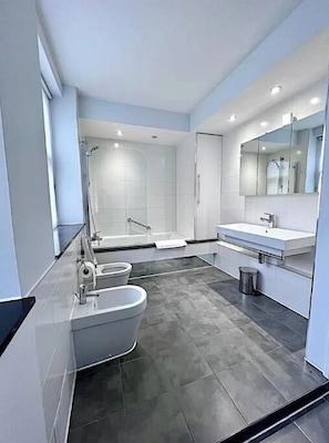 Shower, hair dryer, bidet, towels