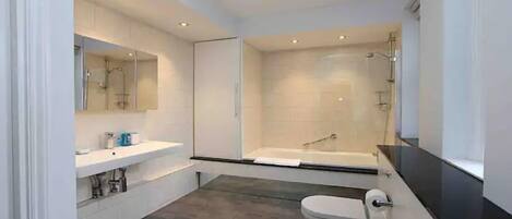 Shower, hair dryer, bidet, towels