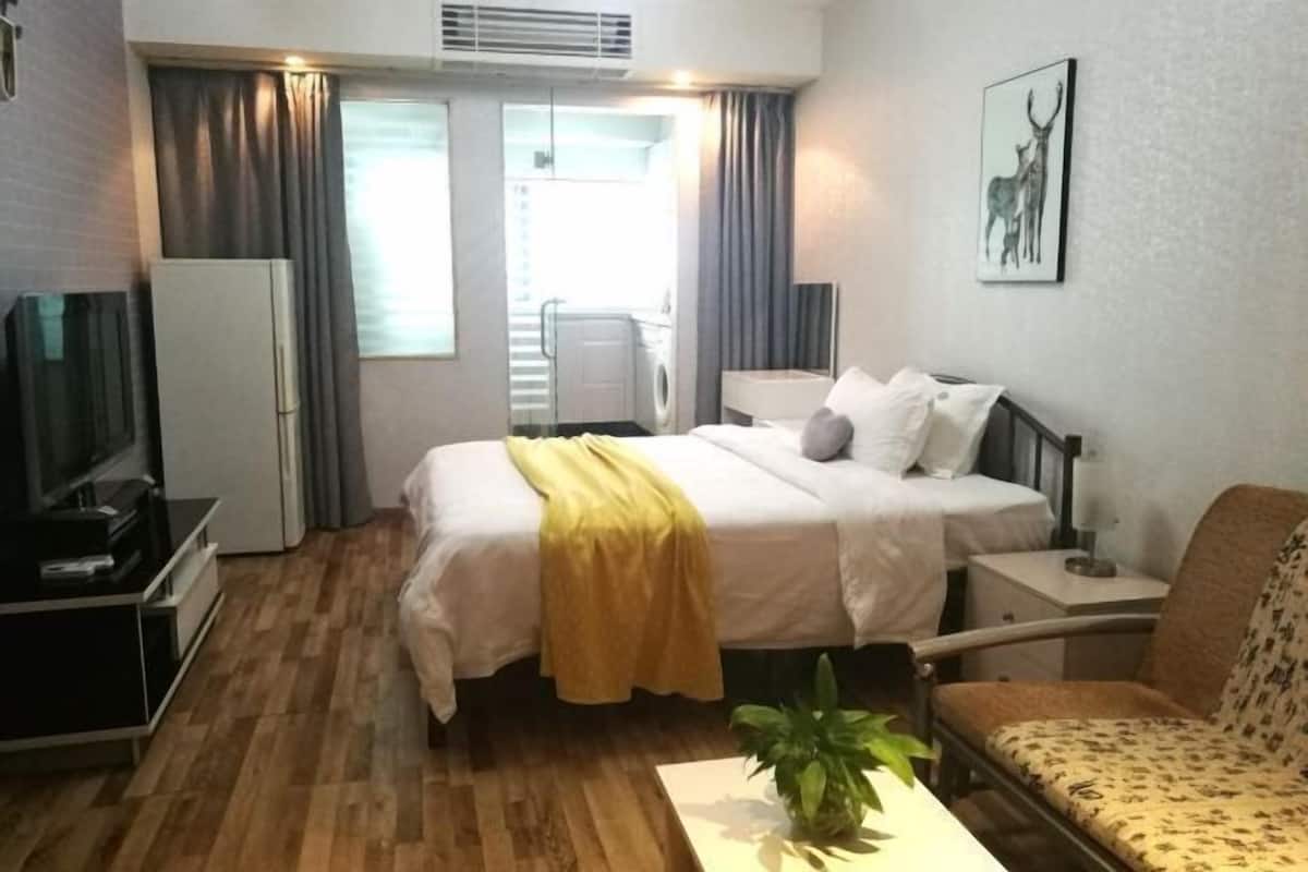 Habitación de hotel con cama, una silla, televisor, refrigerador, lavadora y planta.