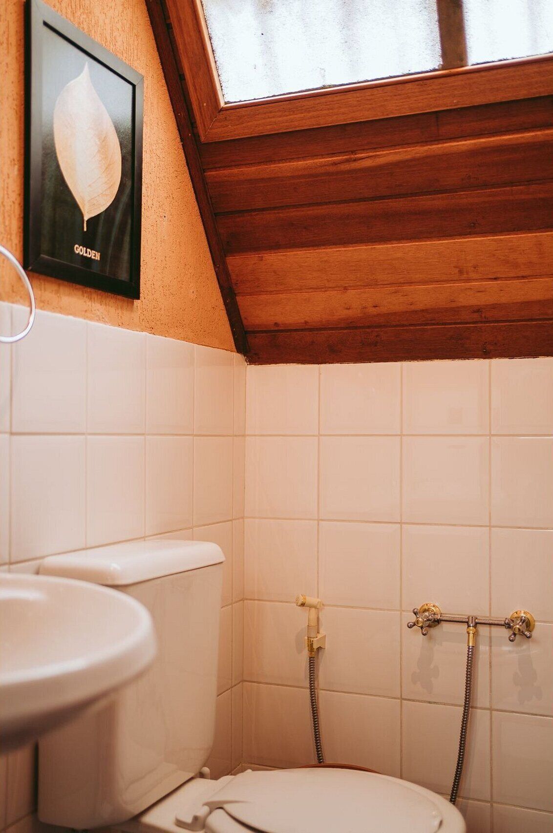 Un baño con tragaluz, inodoro y ducha.