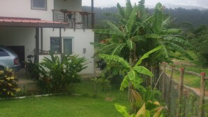 Una casa de dos pisos con un balcón, rodeada de abundante vegetación y plantas de banano.