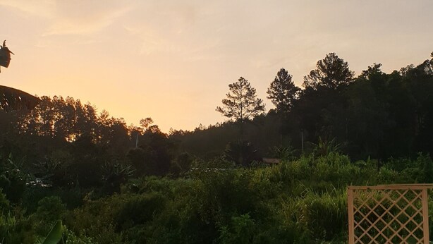 Un jardín con cerca de madera, una mesa con sillas y vistas a un páramo boscoso.