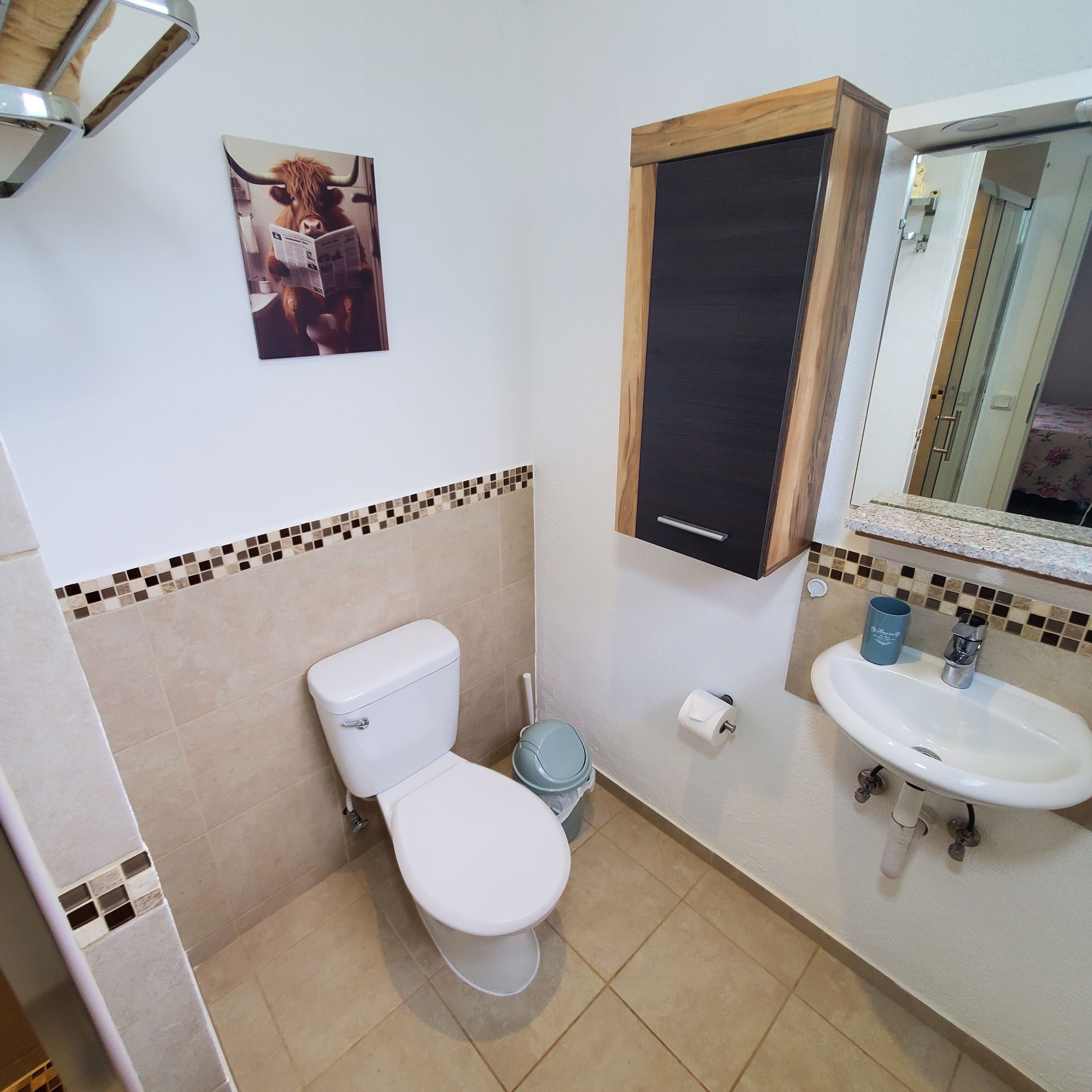 A bathroom with a toilet, sink, and a mirror.