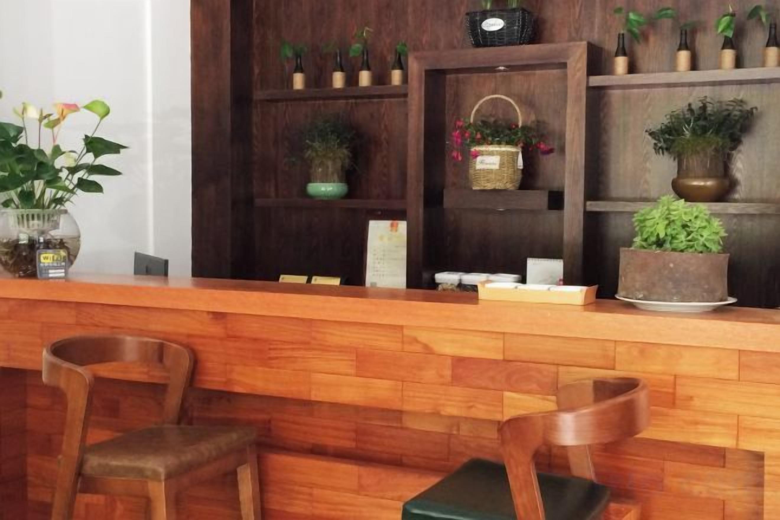 A reception area with a wooden counter, two chairs, and shelves with potted plants.