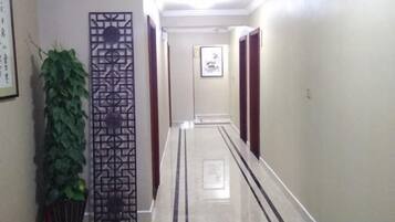A hallway with a decorative screen, a potted plant, and a framed picture on the wall.