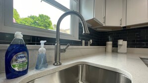A kitchen with a stainless steel sink, a window, and a bottle of Dawn Platinum 4X cleanser. - New, Modern 2 BR Apartment near Hospitals | HBHS (Worcester)