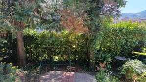A garden with a wooden table and chairs, surrounded by dense foliage and a variety of plants.