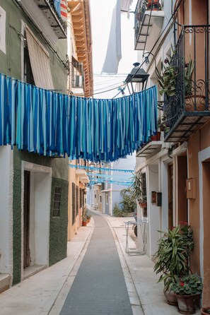 Miscellaneous - La Vila Hort (Villajoyosa)