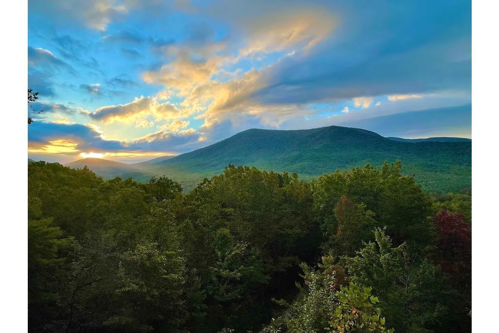 I LOVE VIEW - North GA - Cherry Log, Blue Ridge - Quiet, private, serene, relax