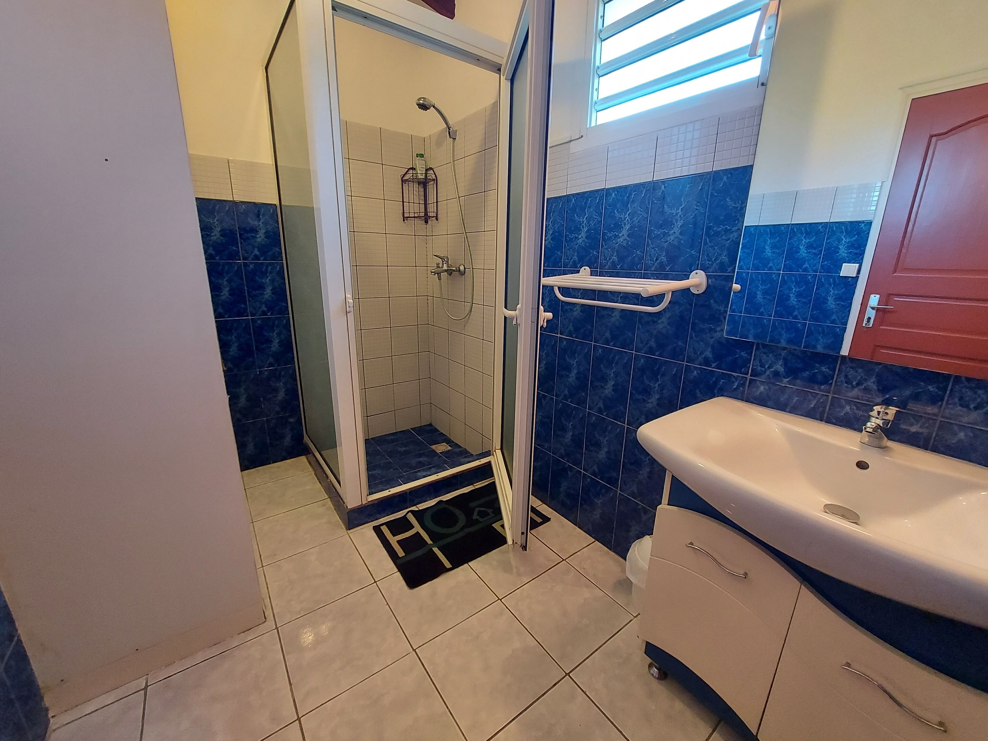 Shower, hair dryer, towels