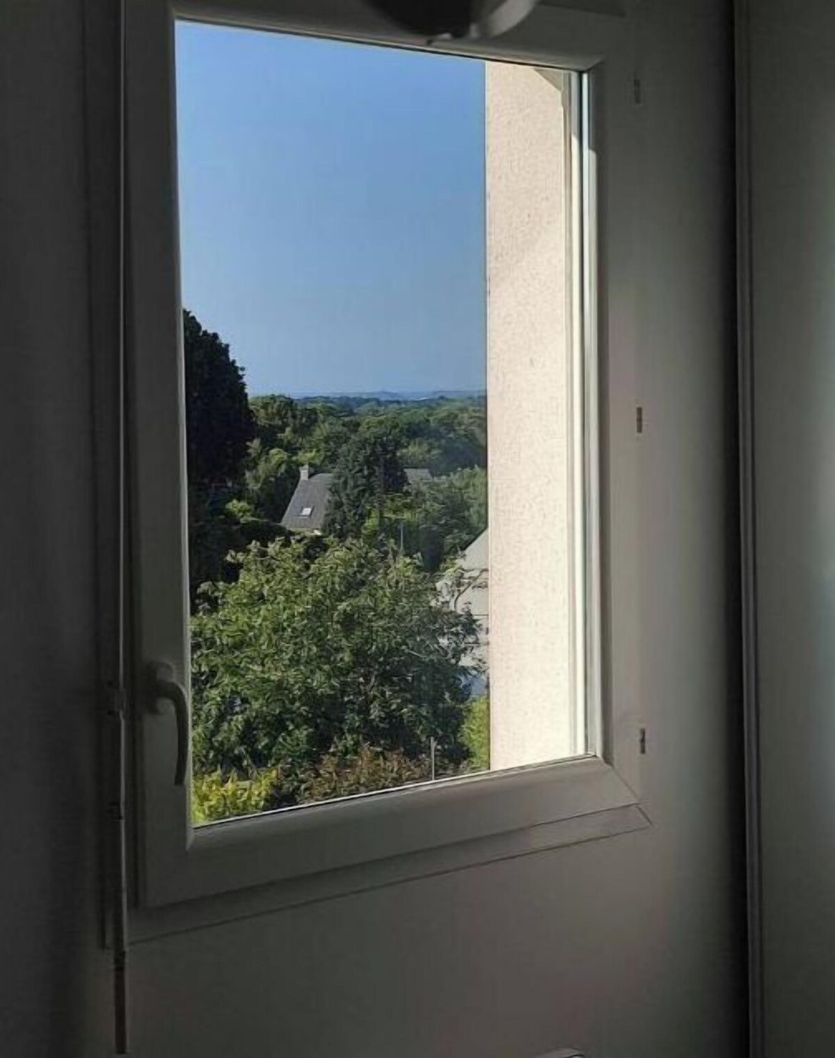 Imagen de perfil del propietario o de la propietaria