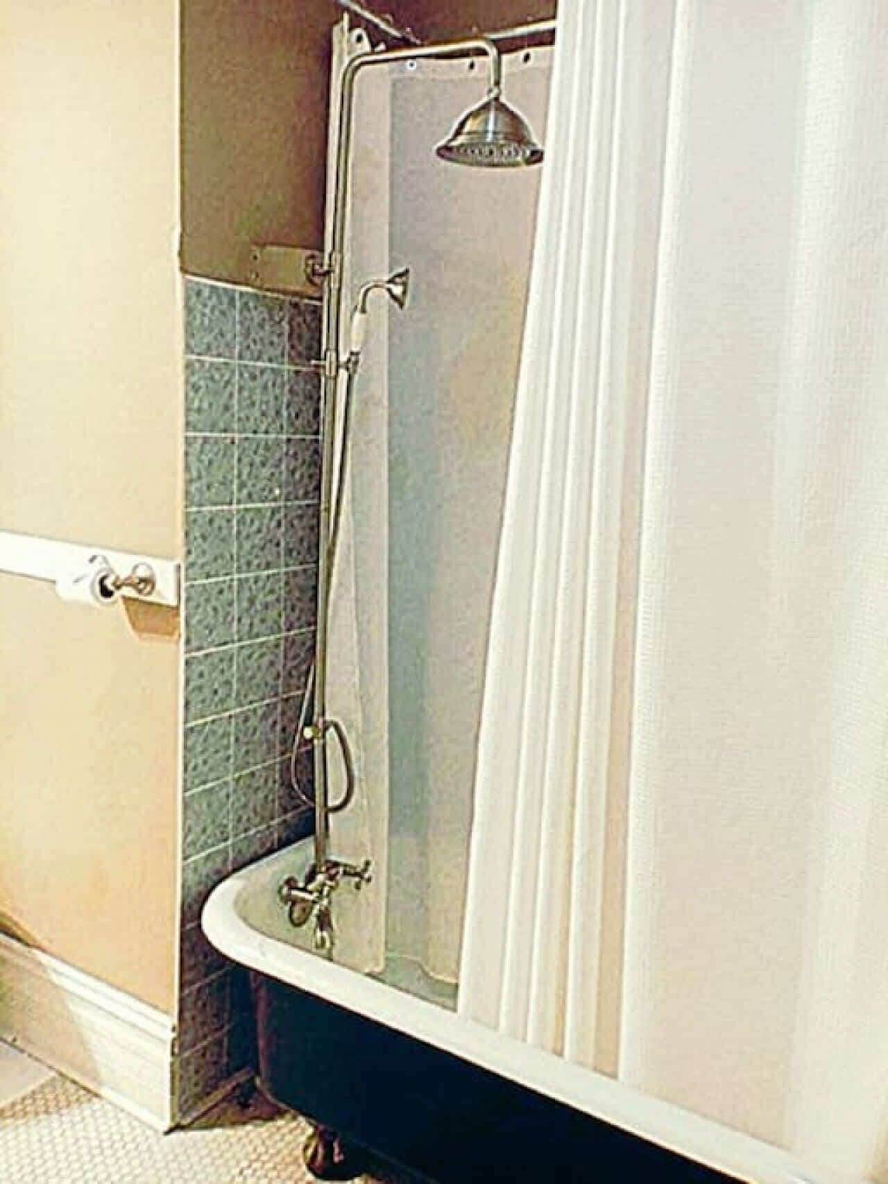 Shower, hair dryer