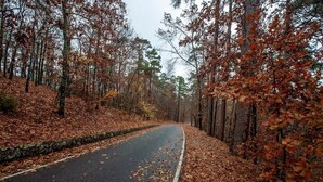 A road flanked by trees with autumn leaves. - Unit 5*Queen Bedroom, Mini Fridge, Coffee Maker, T (Hot Springs)