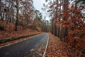 Miscellaneous - Unit 9 Dbl Queen Room W/Mini Fridge, Microwave, Tv (Hot Springs)