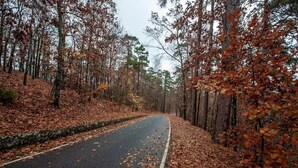 A road flanked by trees with autumn leaves.