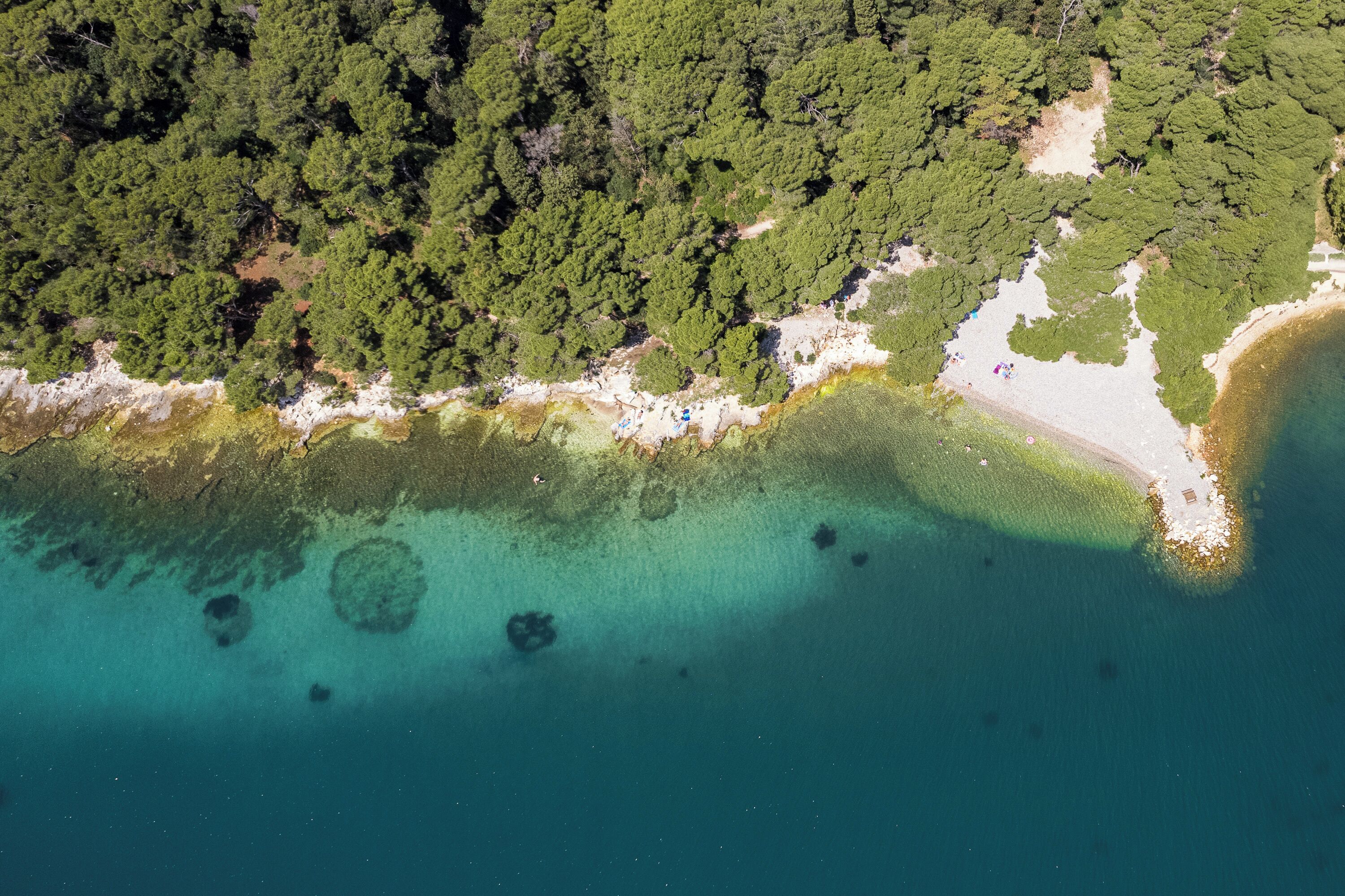 Vista aérea de una zona costera con bosque denso, aguas turquesas cristalinas y una playa de arena.