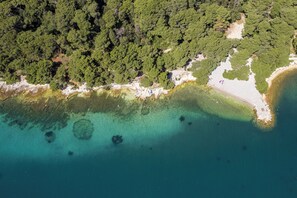 Vista aérea de una zona costera con bosque denso, aguas turquesas cristalinas y una playa de arena.