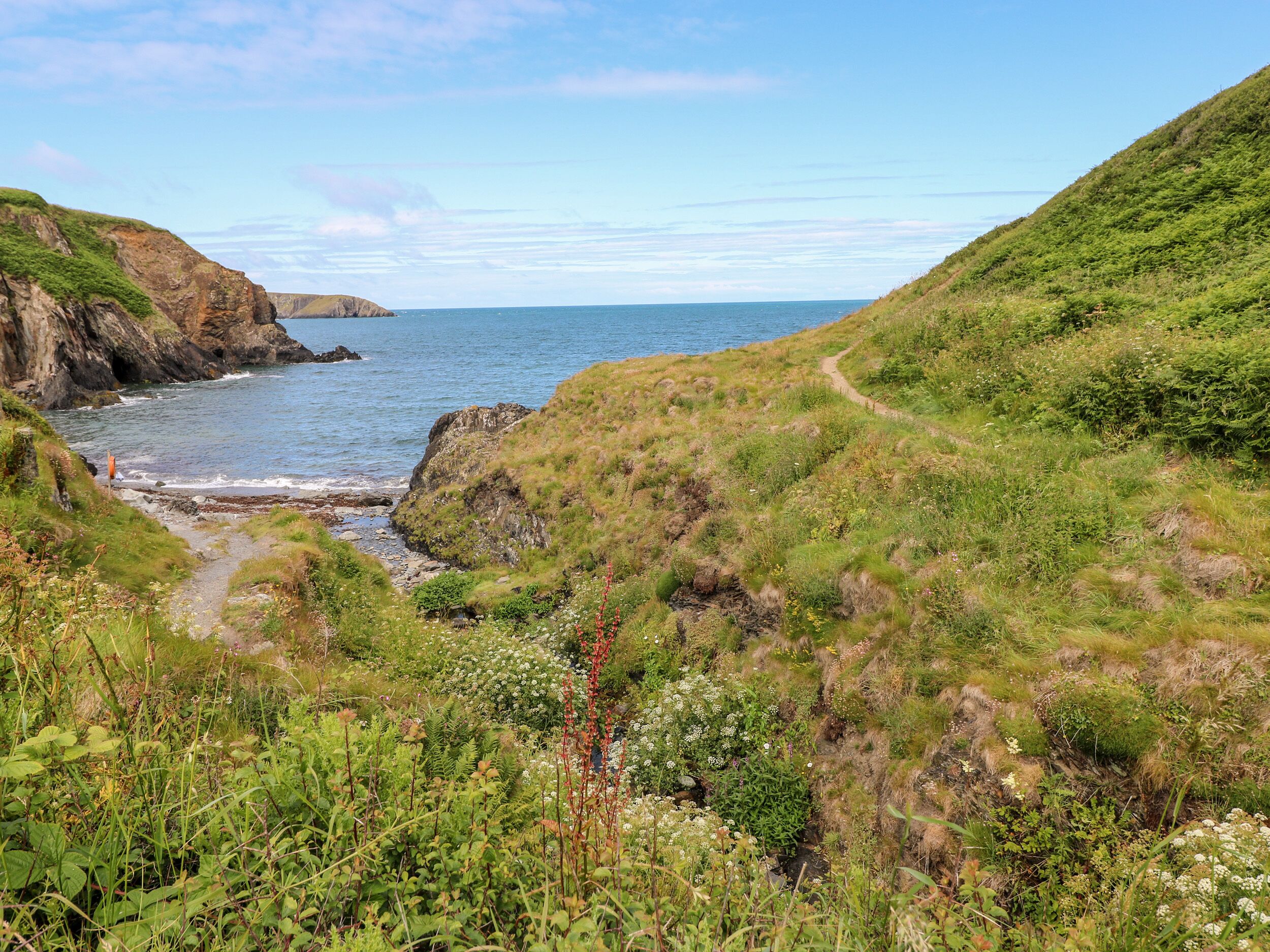 Eine Küstenlandschaft mit einem schmalen Pfad, der zum Meer führt, umgeben von üppiger Vegetation und felsigen Klippen.