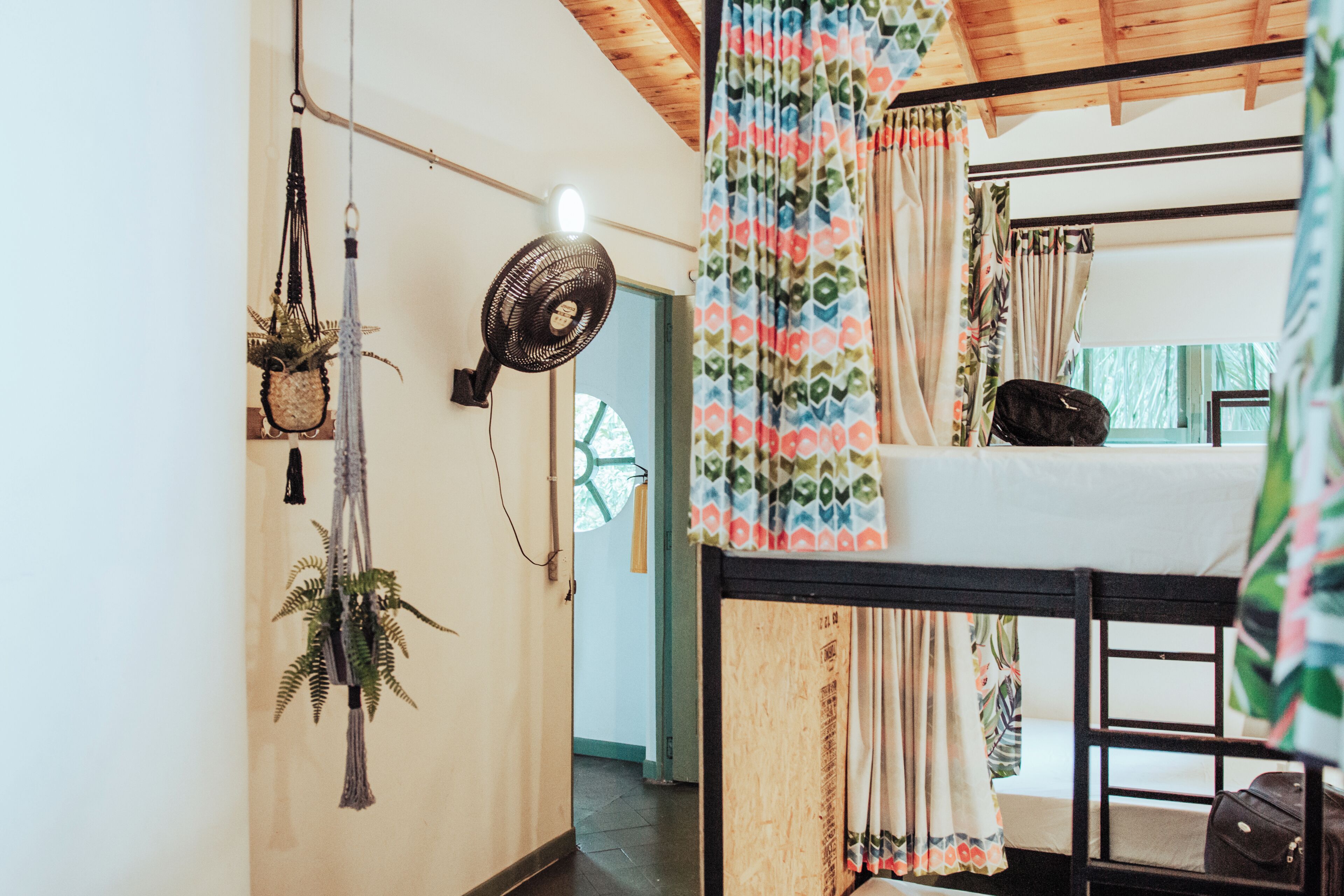 Dormitorio con literas, ventilador, cortinas y plantas colgantes.