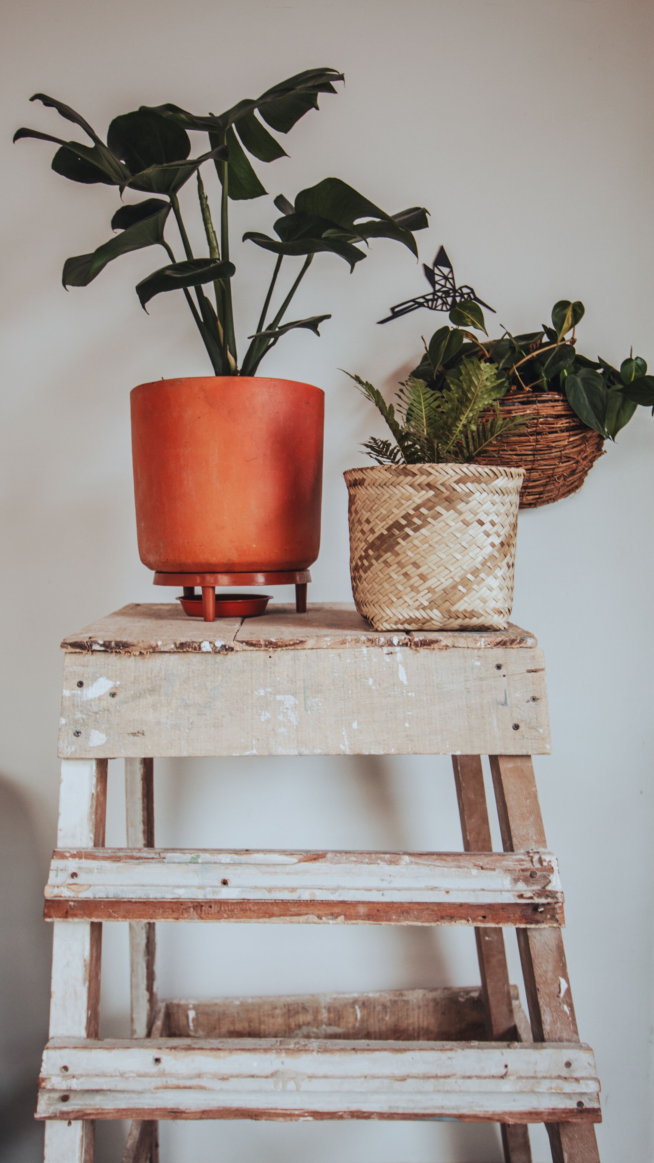 Foto - Centro Hostel Medellin