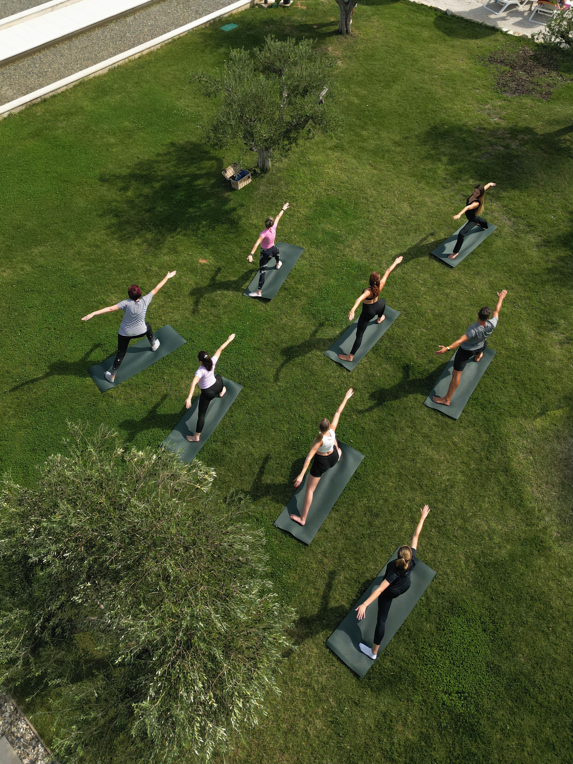 En grupp människor som utövar yoga på yogamattor i ett grönområde utomhus.