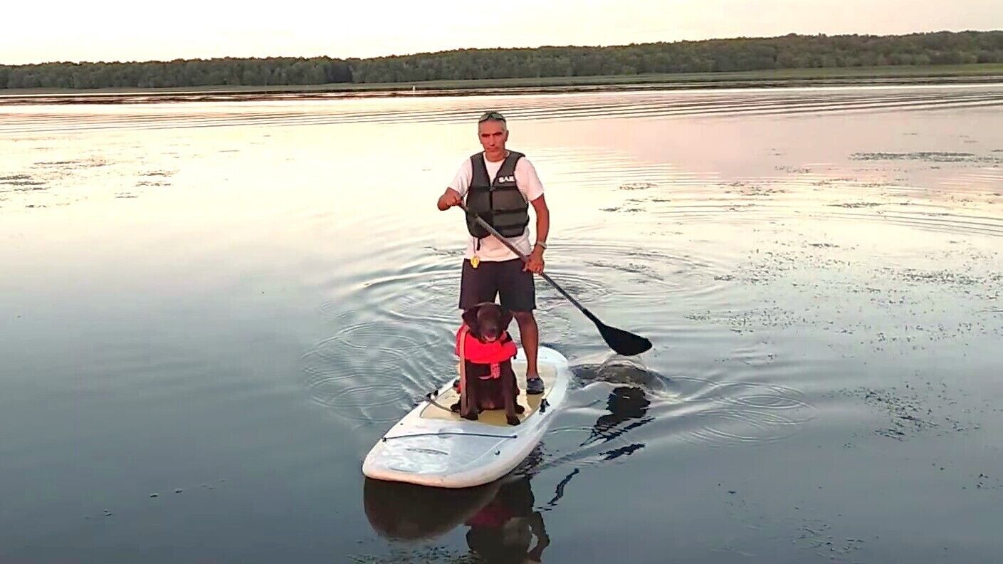 A man and a dog on a paddleboard in calm water.