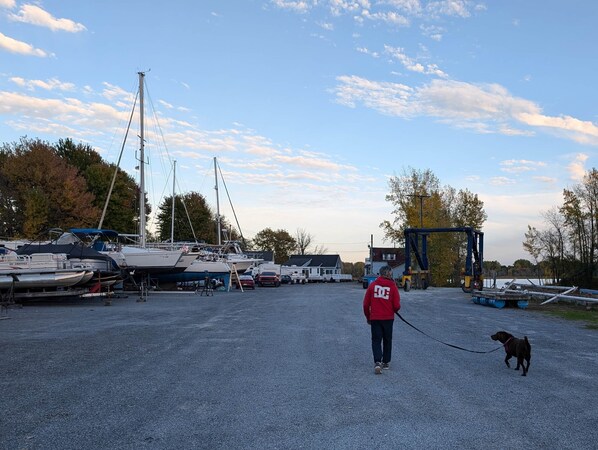 A marina with boats docked, a person walking a dog, and a large blue structure.