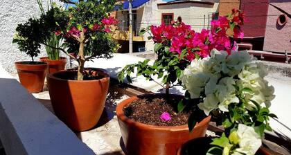 "D" Downtown Private Apartment - ALEGRĂA Housing -